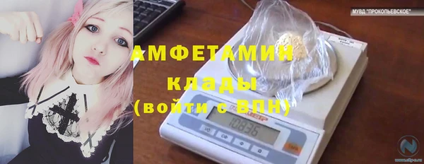 сатива Алексеевка